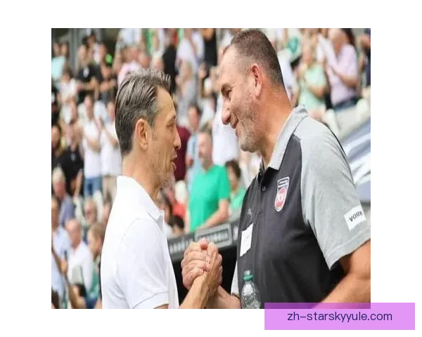 海登海姆老板明确力挺主帅施密特